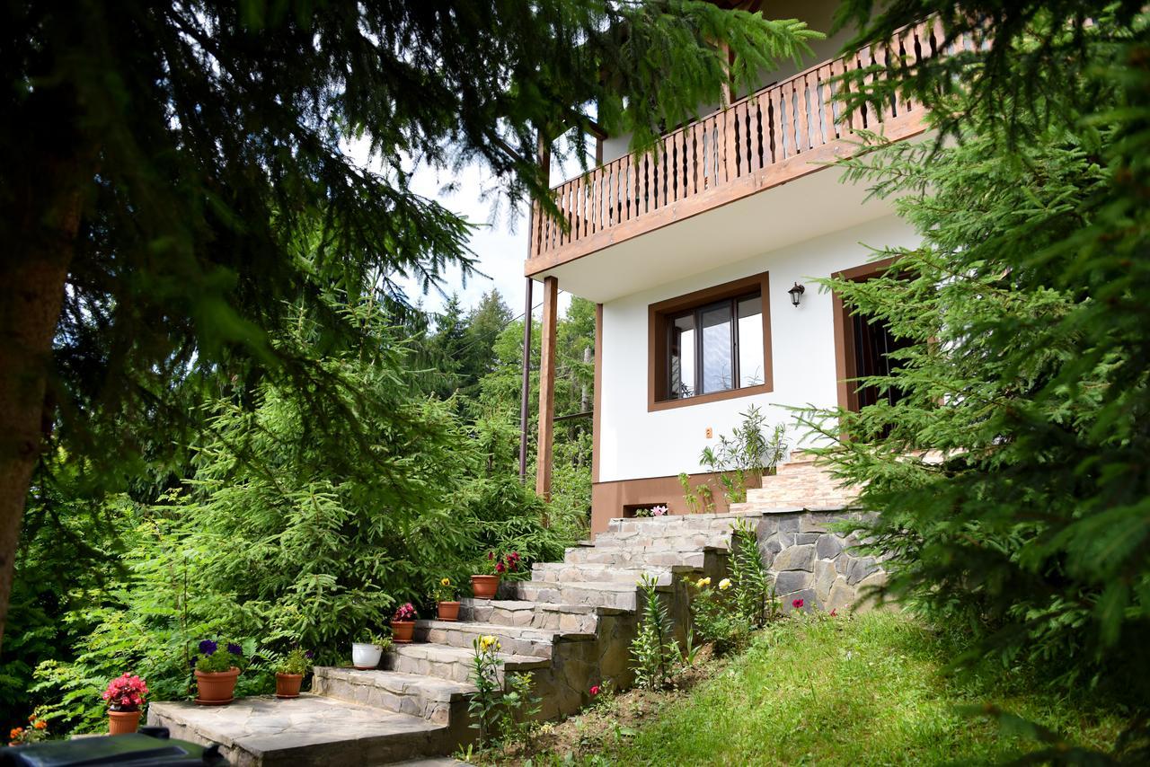 Casa Edy Hotel Colibiţa Exterior foto